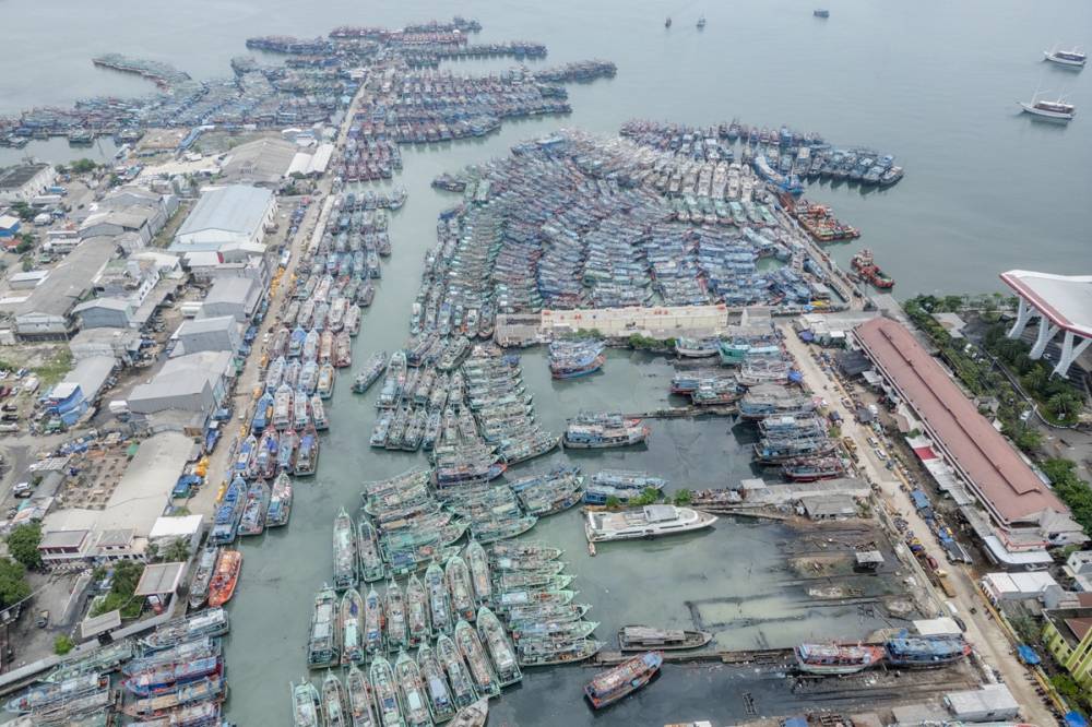 Limana binlerce balıkçı teknesi yanaştı 1