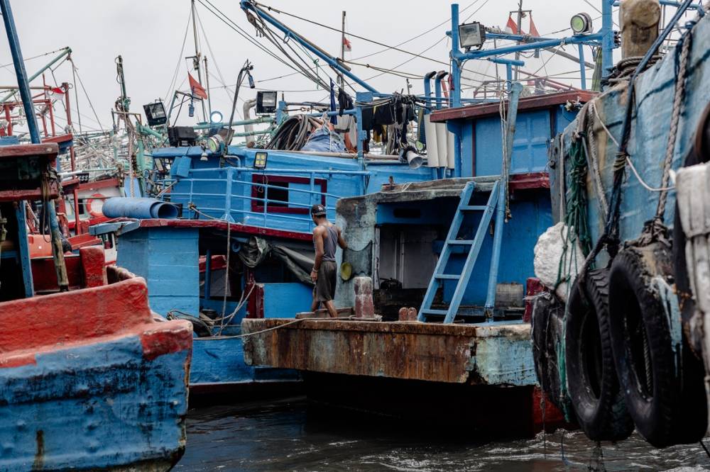 Limana binlerce balıkçı teknesi yanaştı 10