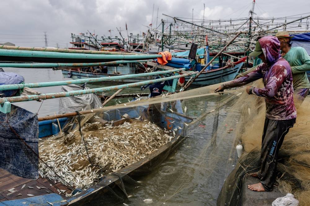 Limana binlerce balıkçı teknesi yanaştı 12