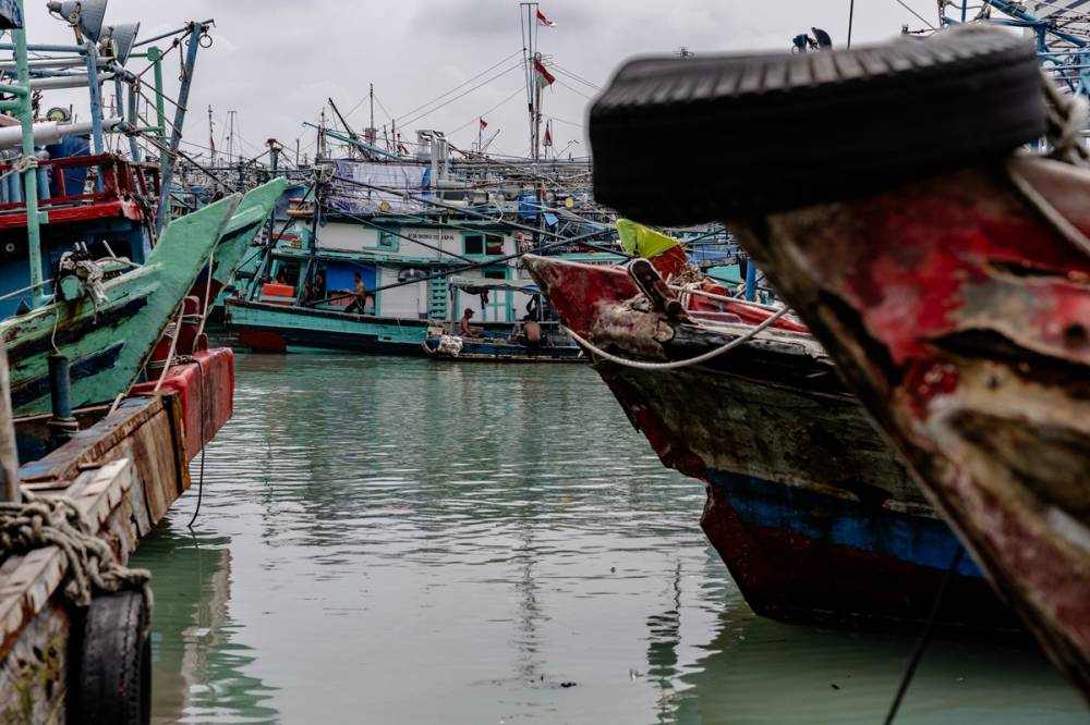 Limana binlerce balıkçı teknesi yanaştı 13