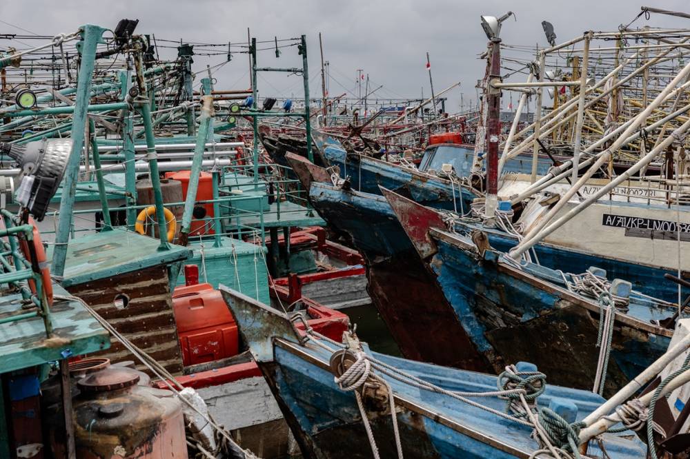 Limana binlerce balıkçı teknesi yanaştı 14