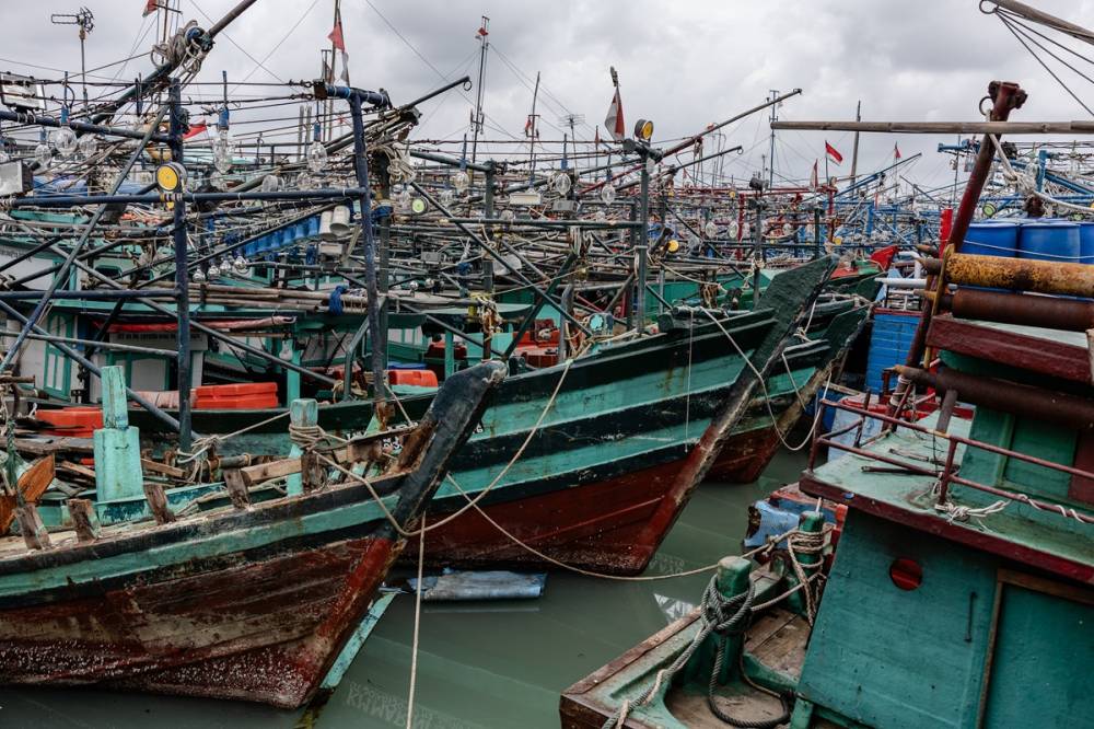 Limana binlerce balıkçı teknesi yanaştı 15