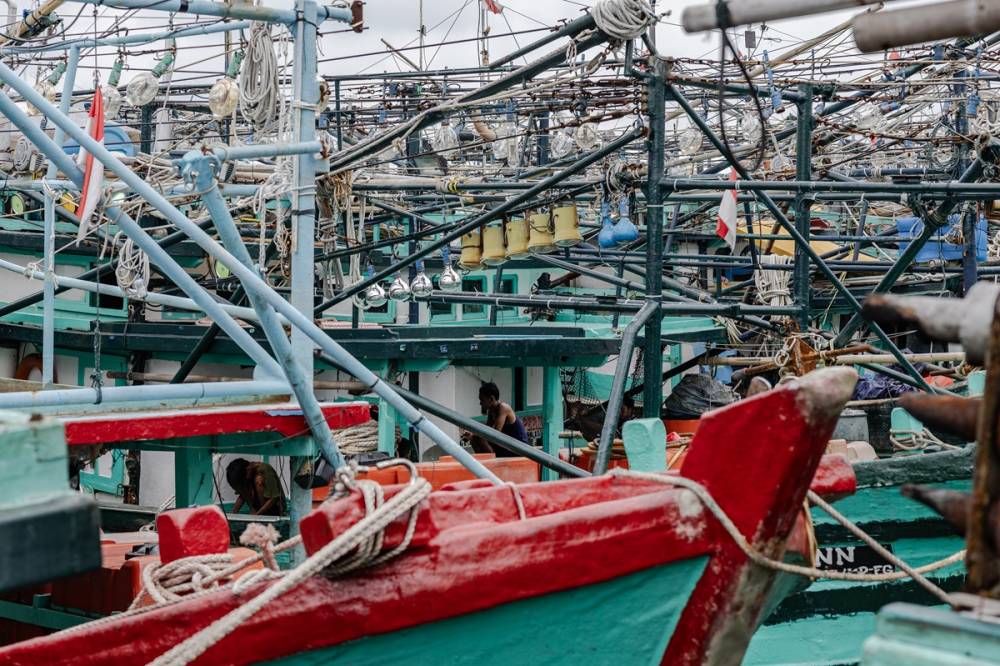 Limana binlerce balıkçı teknesi yanaştı 16