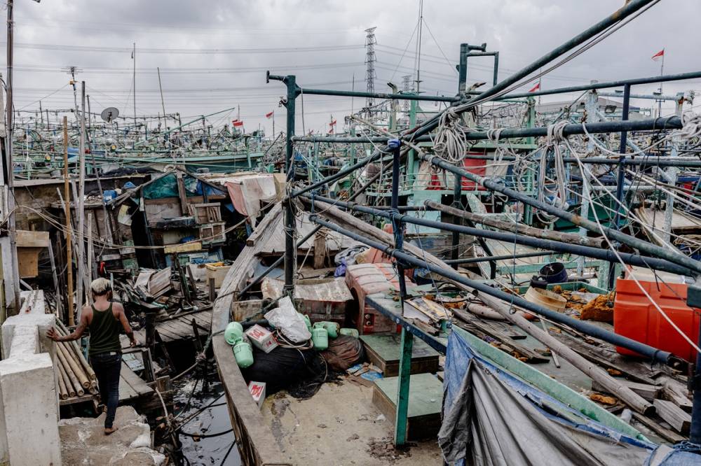 Limana binlerce balıkçı teknesi yanaştı 18