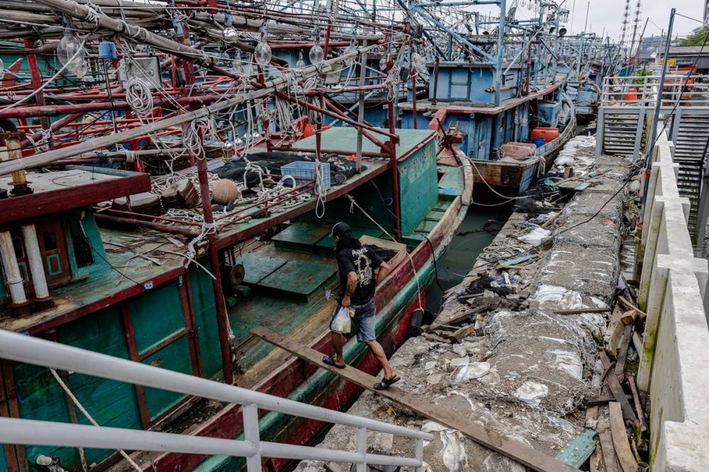 Limana binlerce balıkçı teknesi yanaştı 19