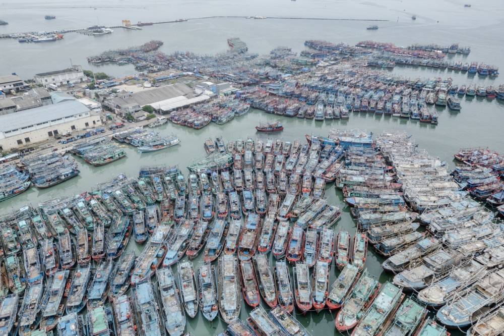 Limana binlerce balıkçı teknesi yanaştı 3