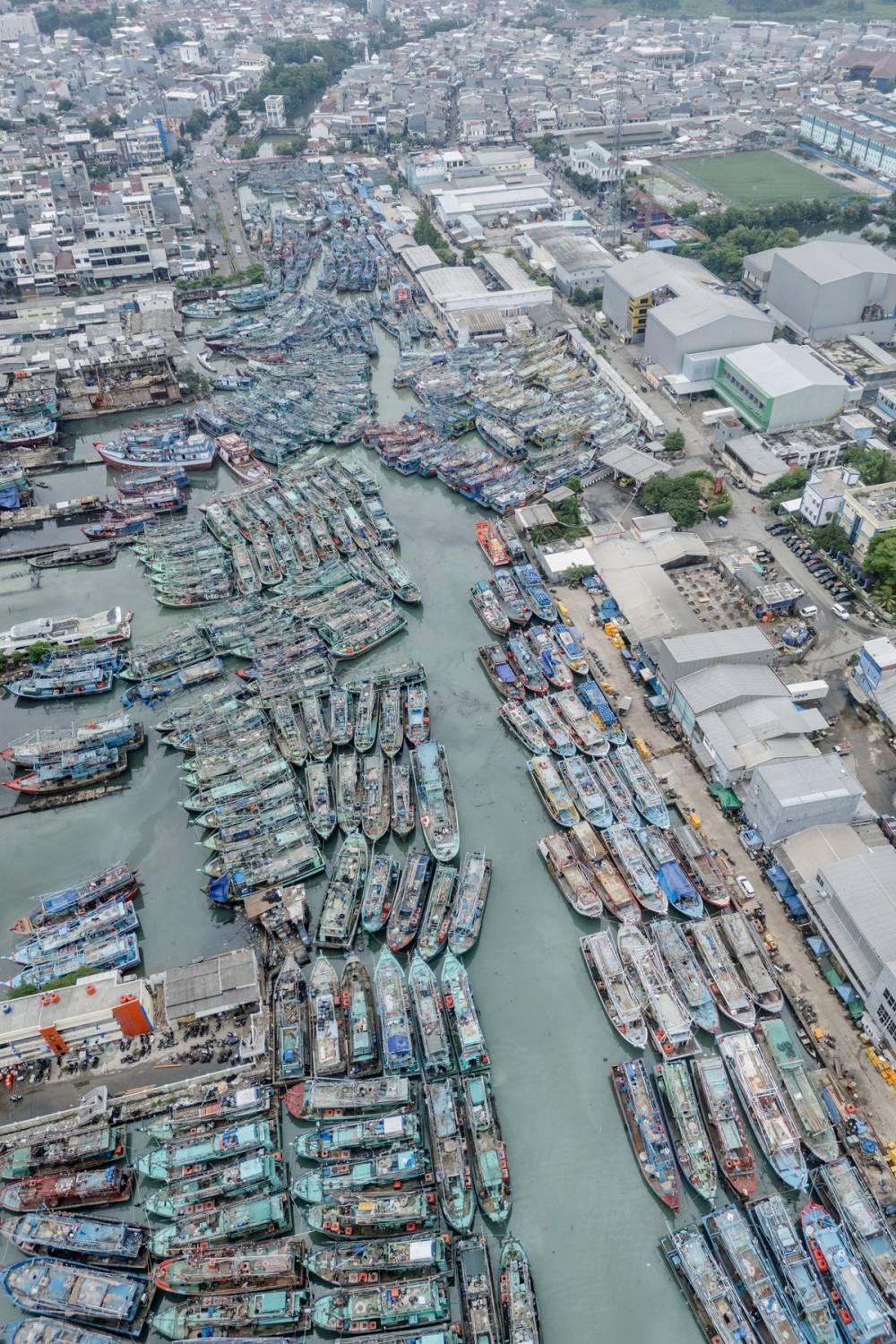 Limana binlerce balıkçı teknesi yanaştı 5