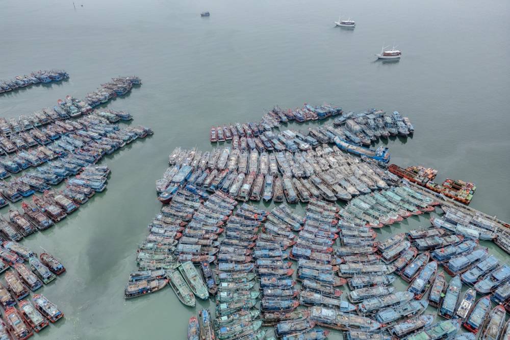 Limana binlerce balıkçı teknesi yanaştı 6