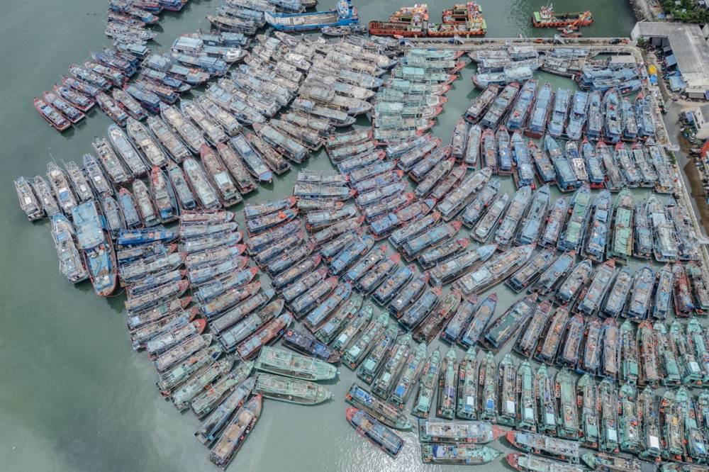 Limana binlerce balıkçı teknesi yanaştı 7