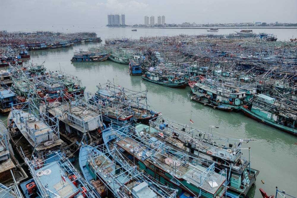 Limana binlerce balıkçı teknesi yanaştı 8