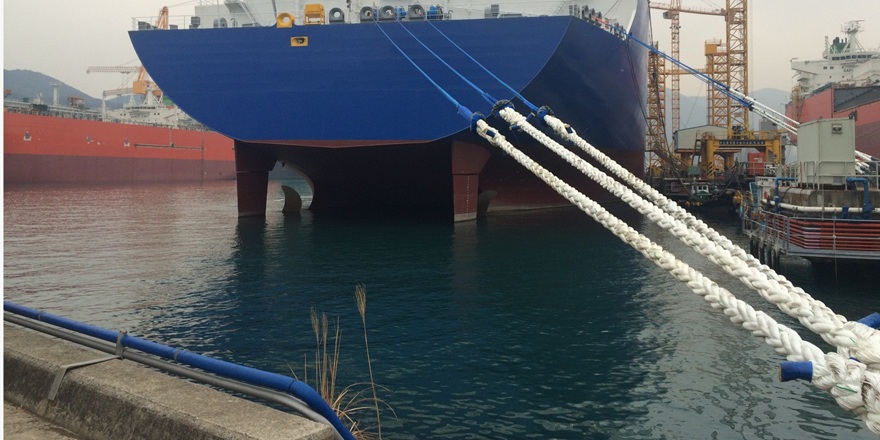 Samson Rope, ARTI Denizcilik İş Birliğiyle Türkiye Denizcilik Pazarını Destekliyor