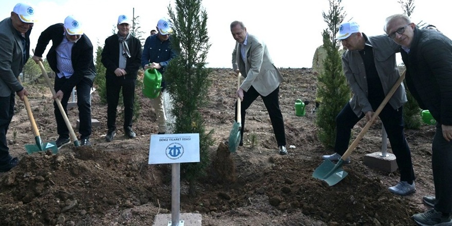 Geleceğe Nefes, Doğaya Vefa: Denizcilik Hatıra Ormanı Kuruldu