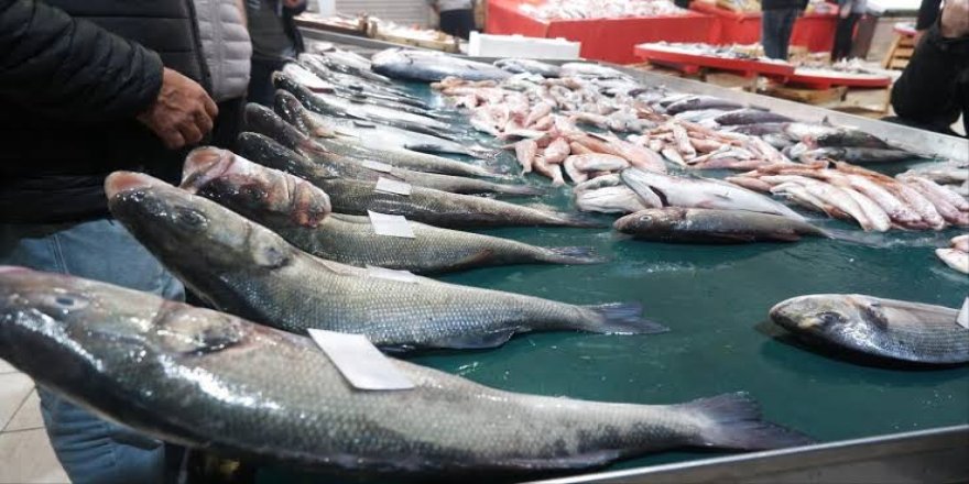 İstanbul'da Temmuzda En Çok Levrek Tüketildi