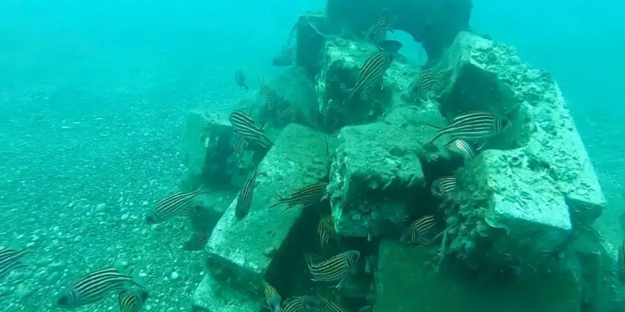 Antalya'da Deniz Altı Yaşamının Röntgeni Çekiliyor