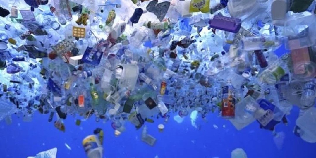 TEMA’dan Dünya Çevre Günü açıklamasında plastik uyarısı
