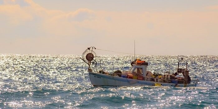 Balıkçılık tehlikede: Deniz suyu sıcaklıkları son 53 yılın zirvesinde
