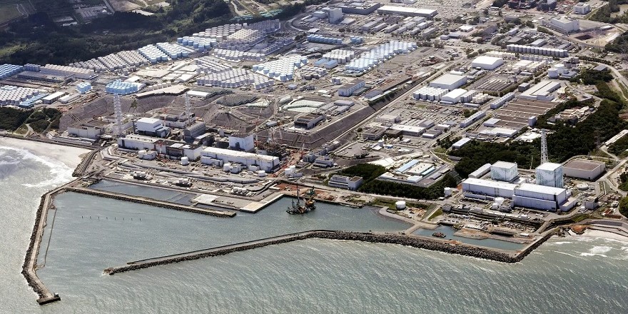 Japon deniz ürünlerinde 'Fukushima' korkusu
