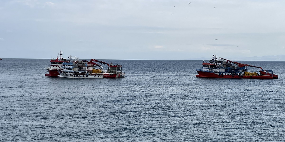 Hamsi bolluğunu duyan balıkçılar Marmara Denizi'nde ağ atıyor