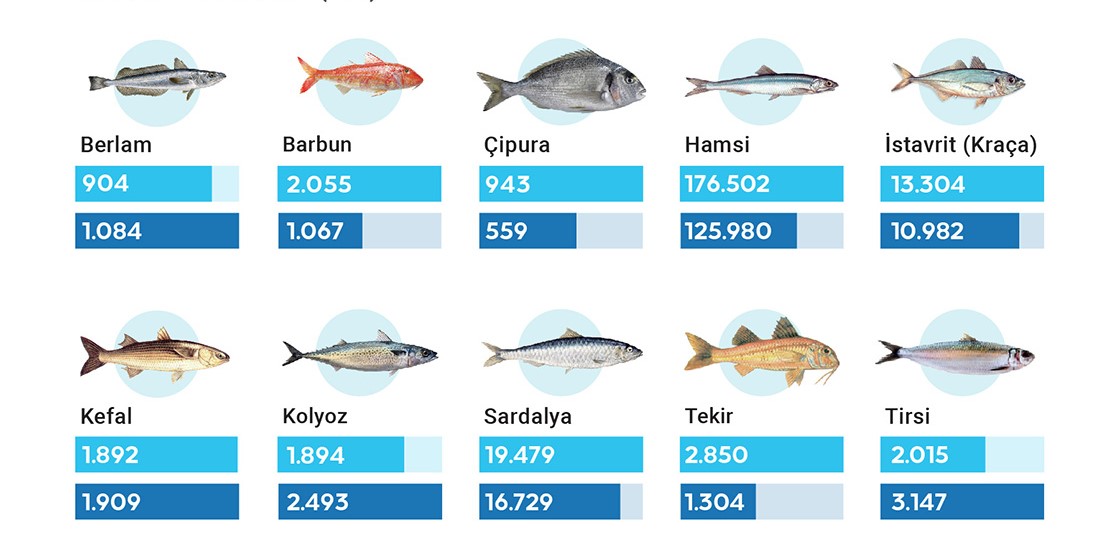 Ege Denizi'ndeki balık türü stokları tehdit altında
