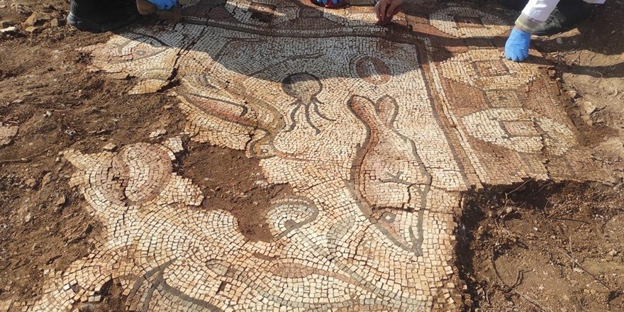 Mardin'de deniz canlıları figürlü mozaikler bulundu