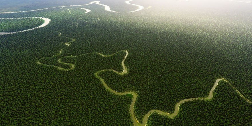 Amazon Nehri üzerinde köprü yok