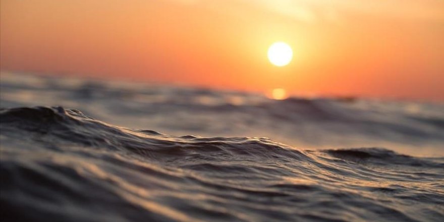 Yükselen okyanus sıcaklıkları zincirleme tepkilere neden olabilir!