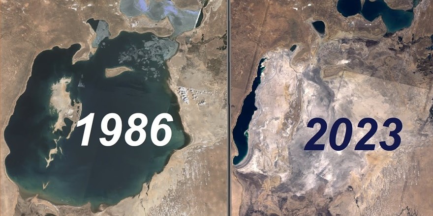 Aral Gölü ağaçlandırılarak çevre felaketi hafifletilmeye çalışılıyor