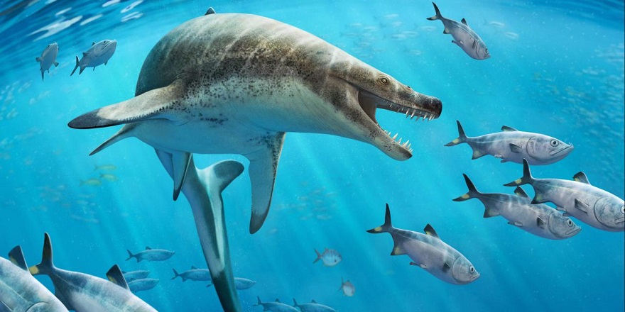 Dinozorlar Çağı'nda yaşamış dev deniz sürüngeni türü keşfedildi