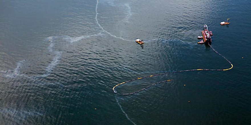 Denize sızan petrol ekosisteme zarar vermeyen yöntemlerle temizlenecek