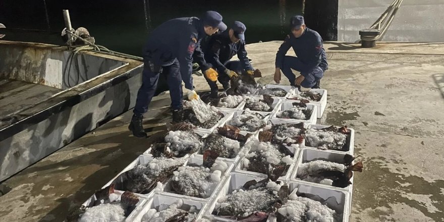 Sinop'ta Kaçak Yolla Avlanan 880 Kalkan Balığı Ele Geçirildi