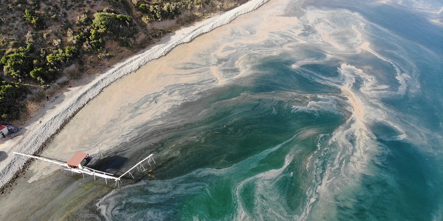 Tekirdağ'da planktonların çoğalmasıyla denizin rengi değişti