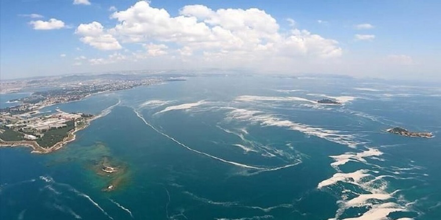 Artan kirlilik ve ısınma Marmara Denizi'ni oksijensiz bırakıyor