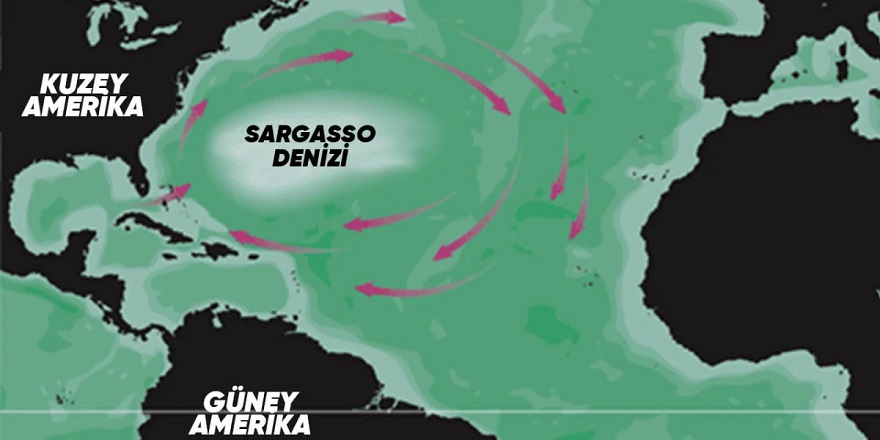 Karaya hiç temas etmeyen "Sargasso Denizi"