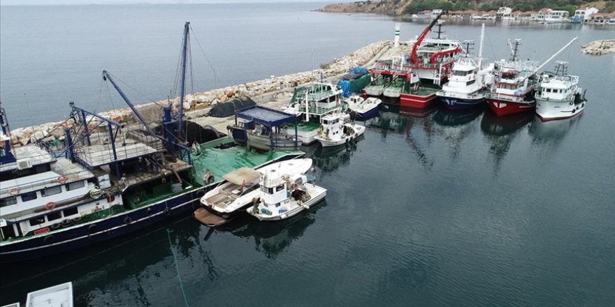 Balıkçılar, yeni sezonda palamut ve lüferde bolluk bekliyor