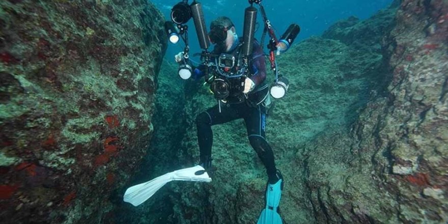 Su altı fotoğrafçıları Akdeniz'in derinliklerindeki güzellikleri görüntülüyor