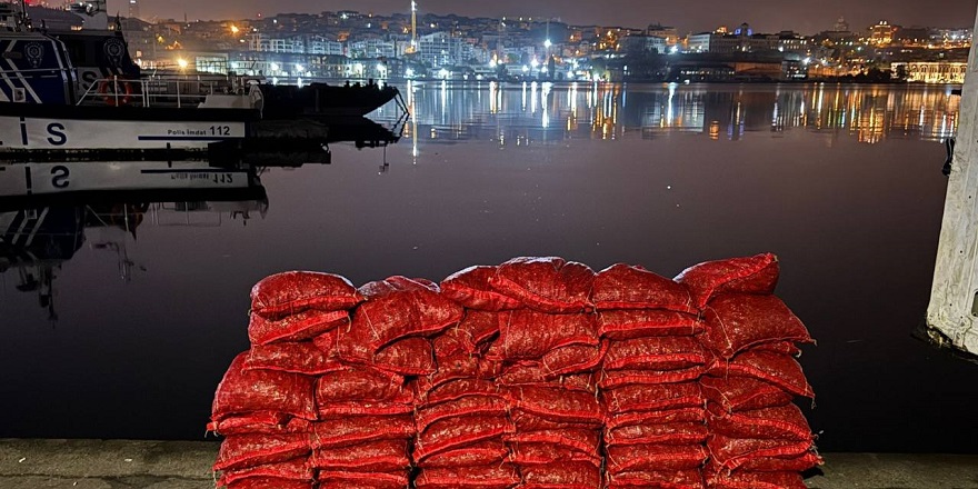 Beyoğlu'nda yasak yolla midye çıkartan kişiye 26 bin lira ceza