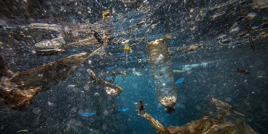 Doğu Karadeniz'deki plastik kirliliğinin boyutu dip çamurunda ortaya çıktı