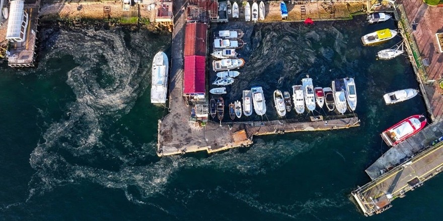 Marmara Denizi'nde müsilaj yeniden görüldü