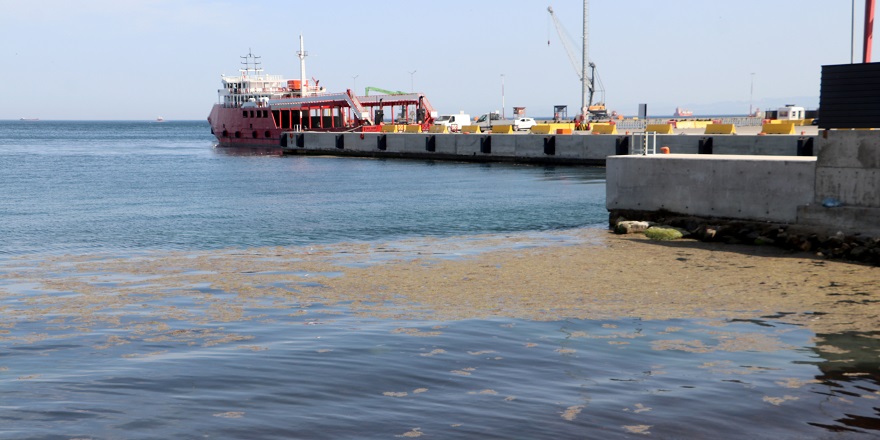 Tekirdağ kıyılarında deniz renginde değişim gözlendi
