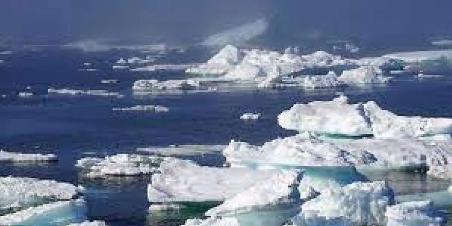 Küresel sıcaklık artışı devam ederse buzulların çoğu eriyecek