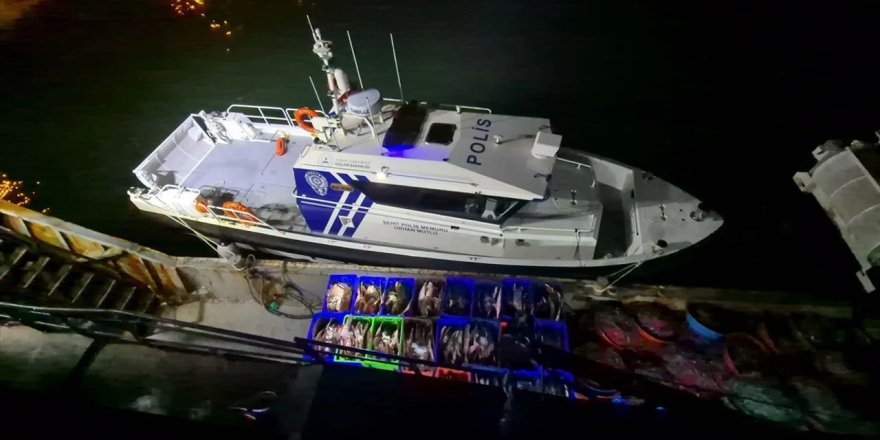 Samsun'da kaçak avlanan 6 ton kalkan balığı ele geçirildi