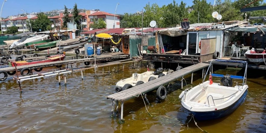 İzmit Körfezi'nde denizin kıyısı kahverengiye döndü