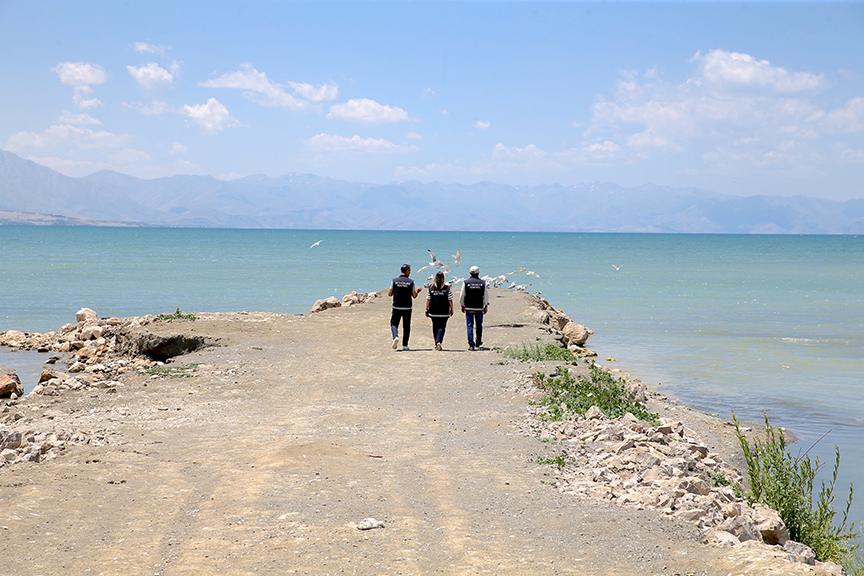 Van'da kaçak inci kefali avlayanlara para cezası verildi
