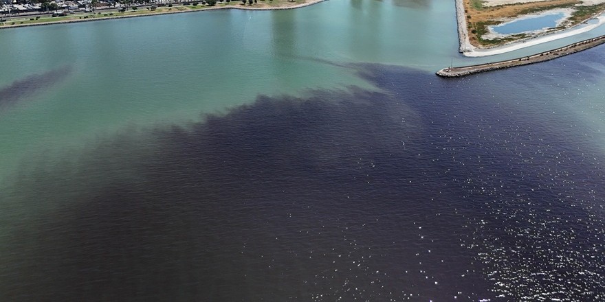 İzmir'de denizin rengi kahverengiye döndü