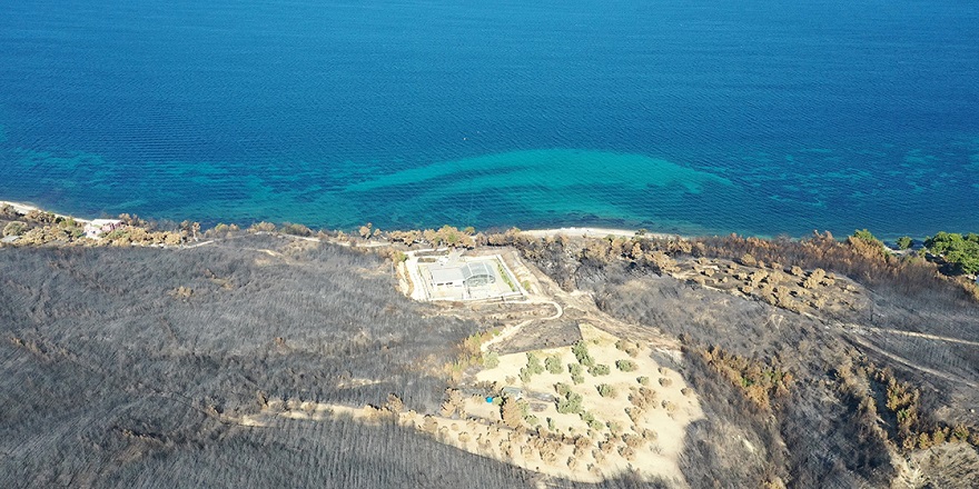 Orman yangınları deniz ekosistemini de tehdit ediyor