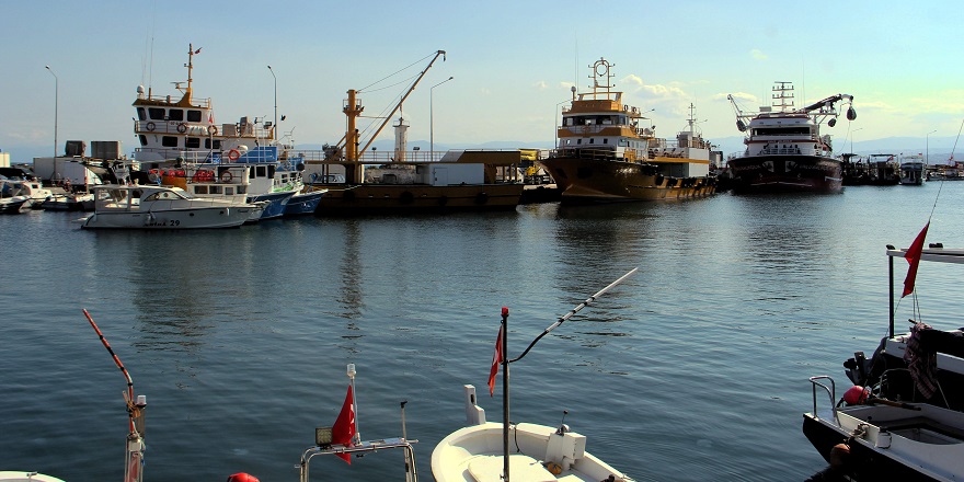 Sinop'ta balıkçılar denizden umduğunu bulamadı
