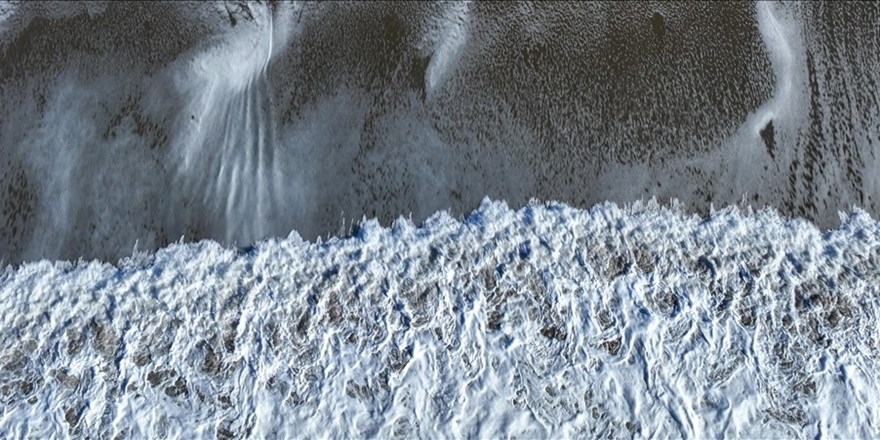 Yabanlı, "Deniz canlılarının ve besin zinciri risk altında"