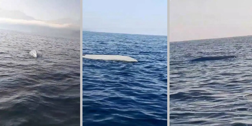 Artvin açıklarında insansız deniz aracı bulundu