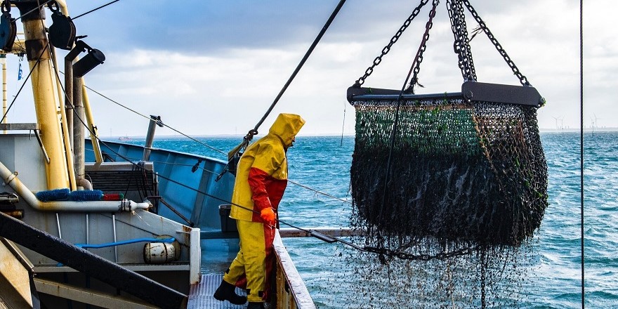 'Türk balıkçıların Moritanya’da balığı bitirdiklerine' dair iddia