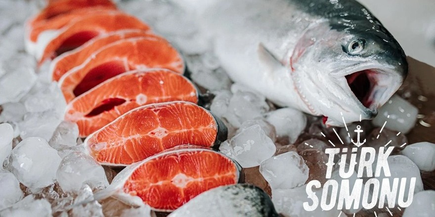 DKİB, Türk somonunu Çin'de tanıtacak